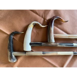 Horn Walking Sticks-image